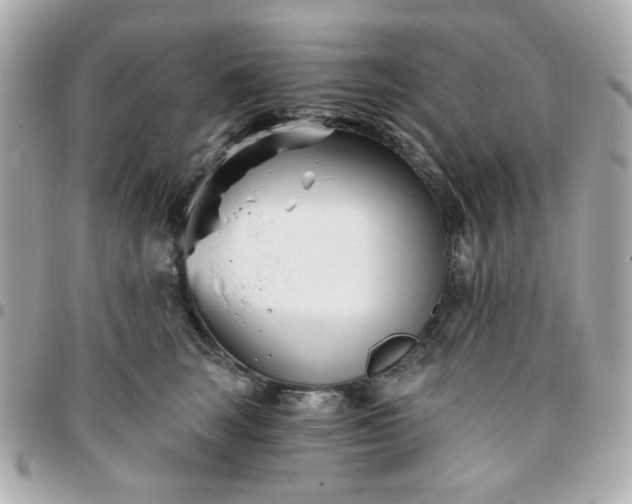 X0000096200663200802011301