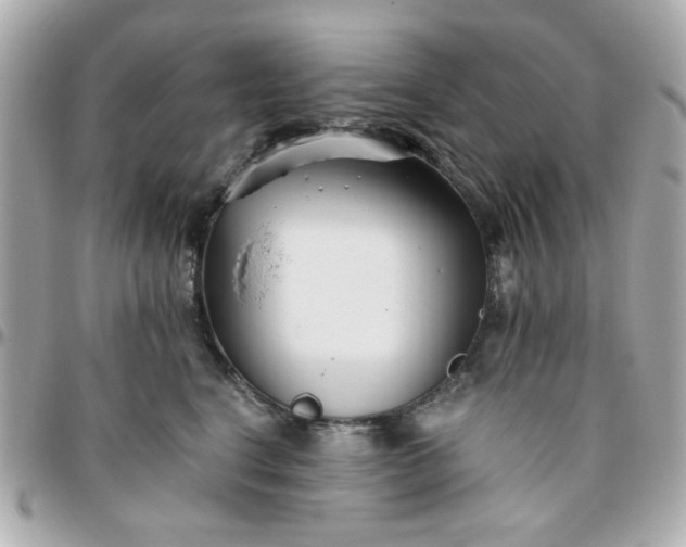 X0000096200664200802011301