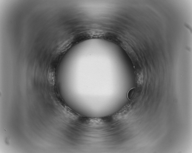 X0000096200666200802011301