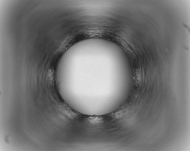 X0000096200667200802011301