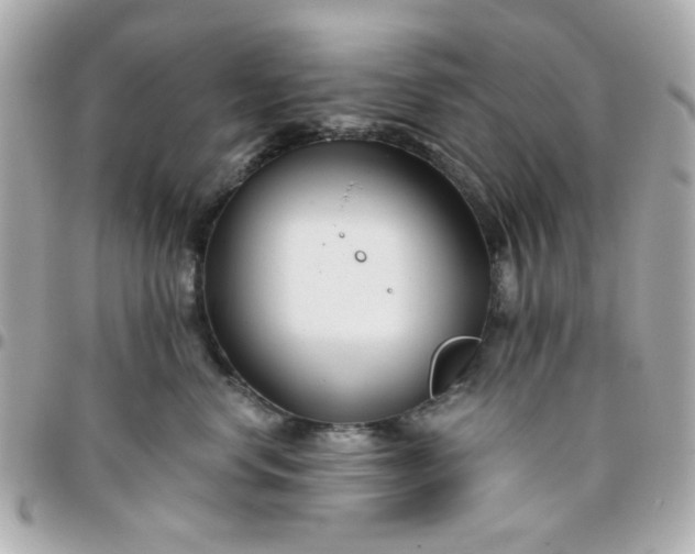 X0000096200668200802011301