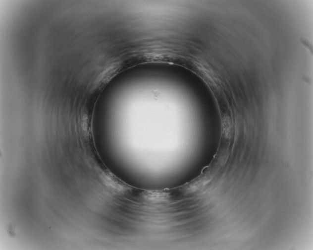 X0000096200670200802011301