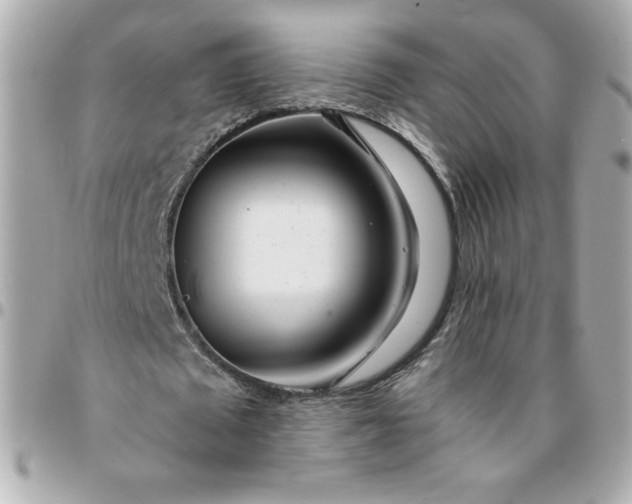 X0000096200673200802011300