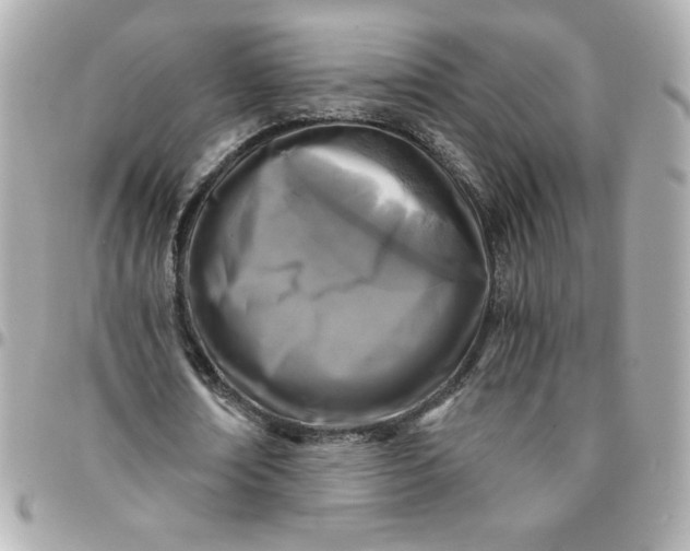 X0000096200674200802011300