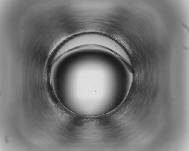 X0000096200676200802011300