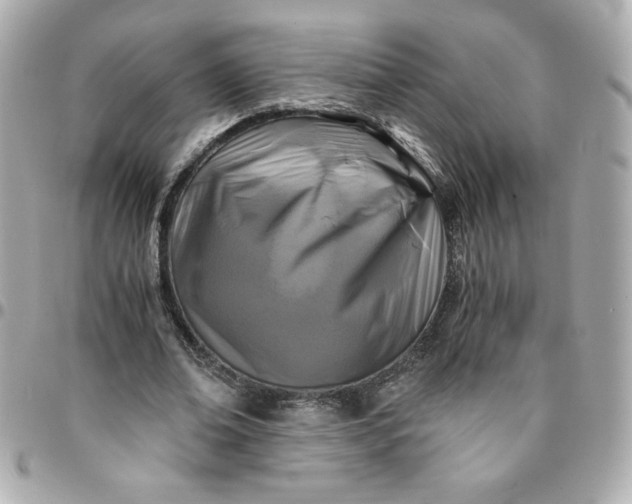 X0000096200678200802011300