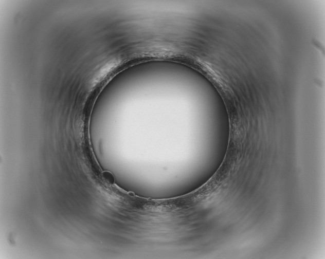 X0000096200679200802011300