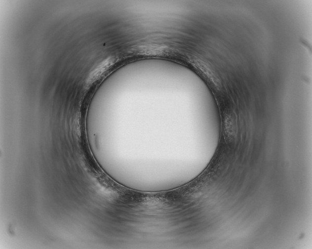 X0000096200682200802011300