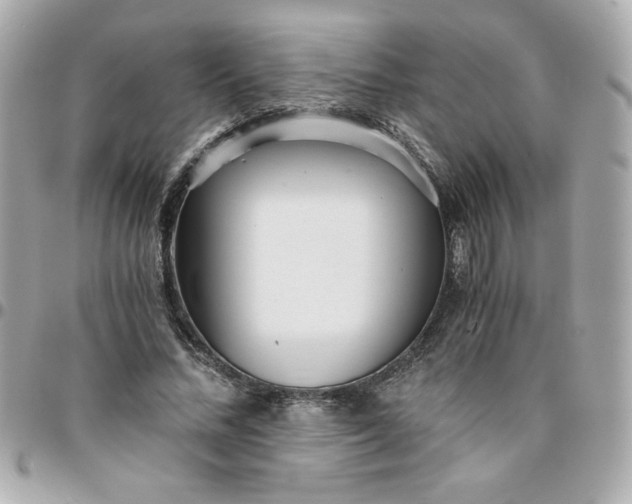 X0000096200684200802011300