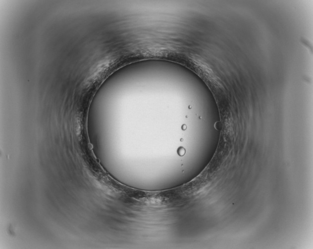 X0000096200687200802011300