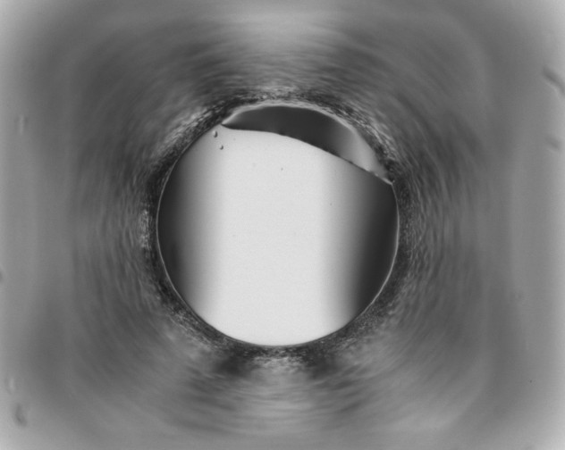 X0000096200689200802011300