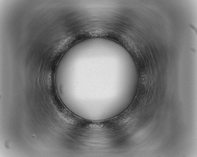 X0000096200690200802011300