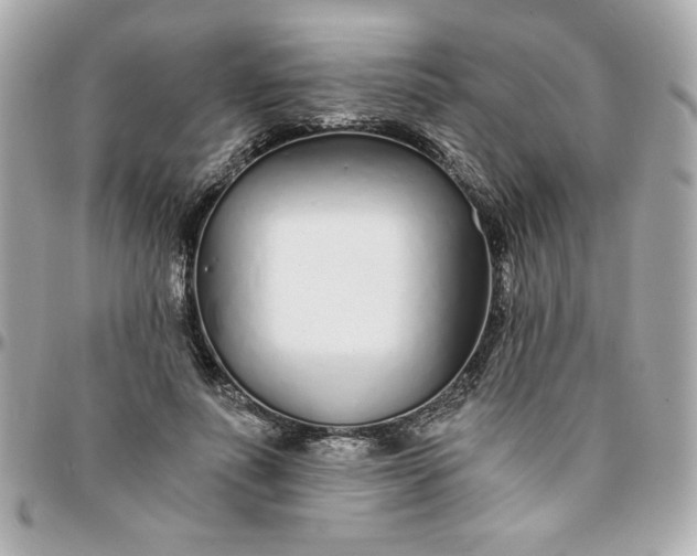 X0000096200691200802011300