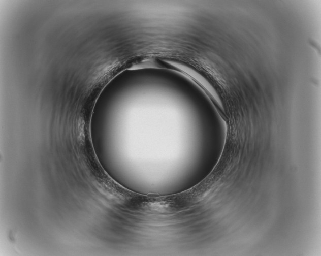 X0000096200692200802011300