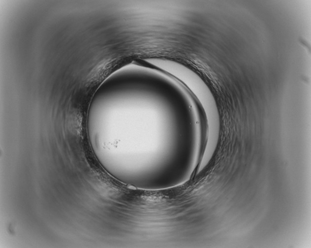 X0000096200693200802011300