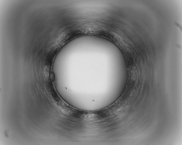 X0000096200695200802011300