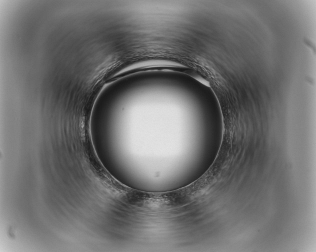 X0000096200696200802011300