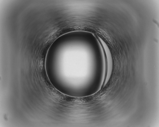 X0000096200697200802011300