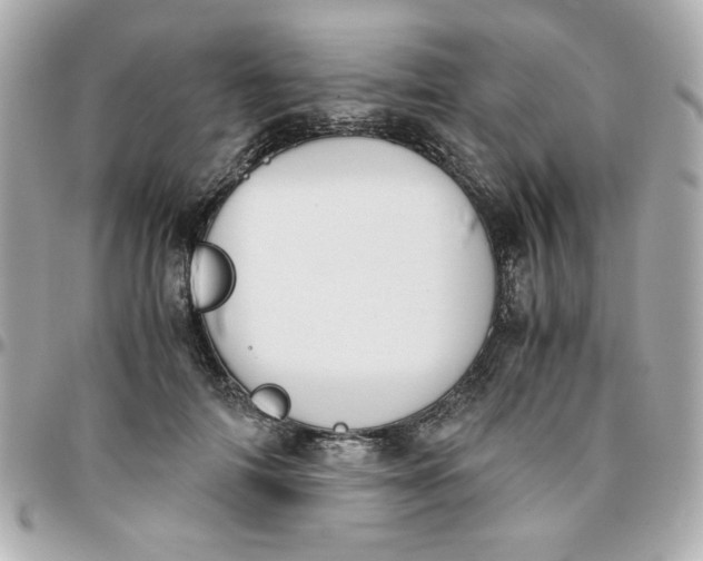 X0000096200698200802011300