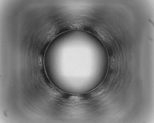 X0000096200699200802011300