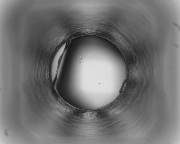 X0000096200700200802011300