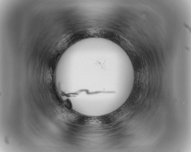 X0000096200702200802011300