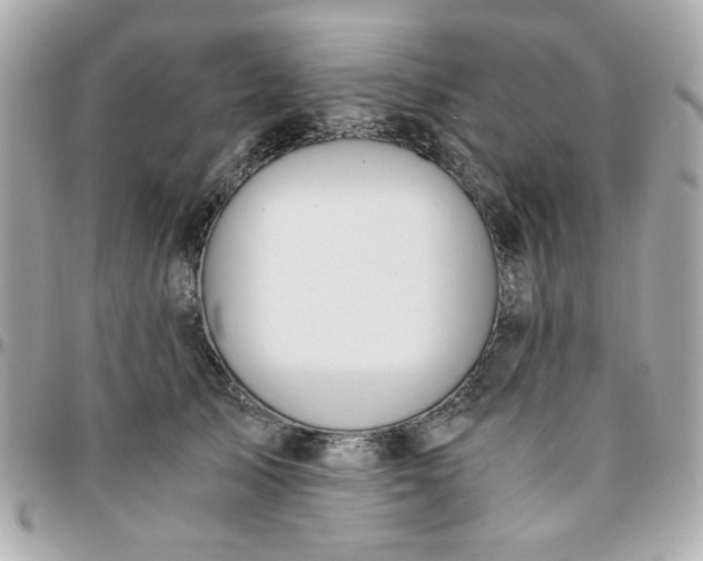 X0000096200705200802011300