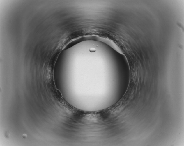 X0000096200708200802011300