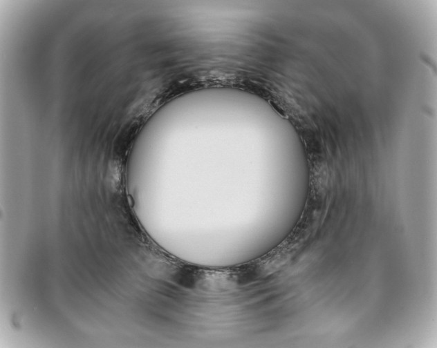 X0000096200709200802011300