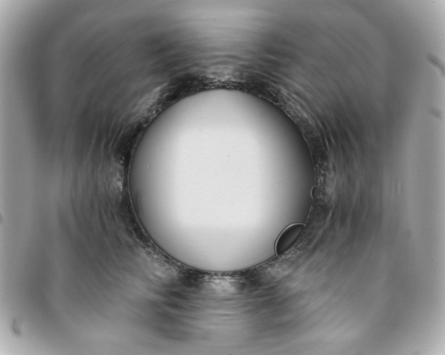 X0000096200710200802011300