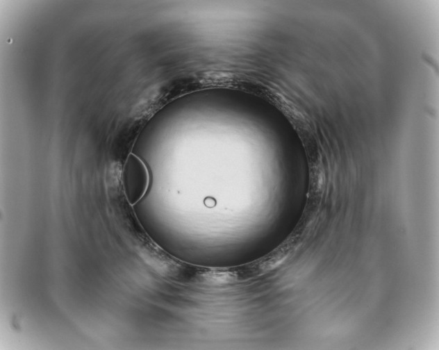 X0000096200711200802011300