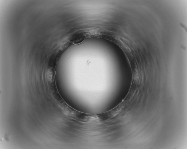 X0000096200715200802011300