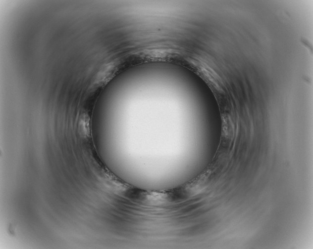 X0000096200718200802011300