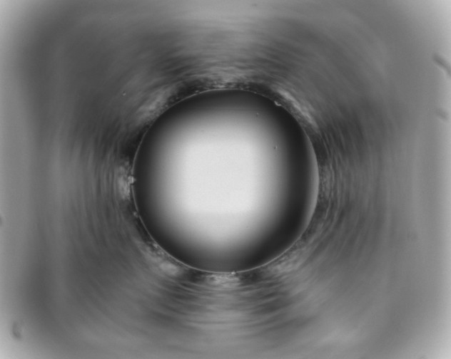 X0000096200719200802011300