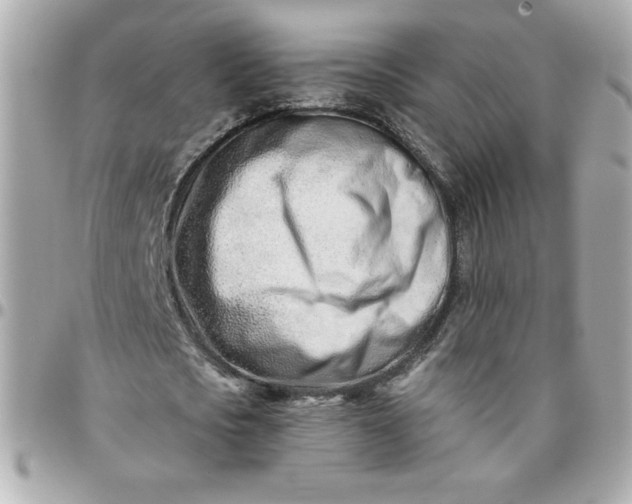 X0000096200721200802011259