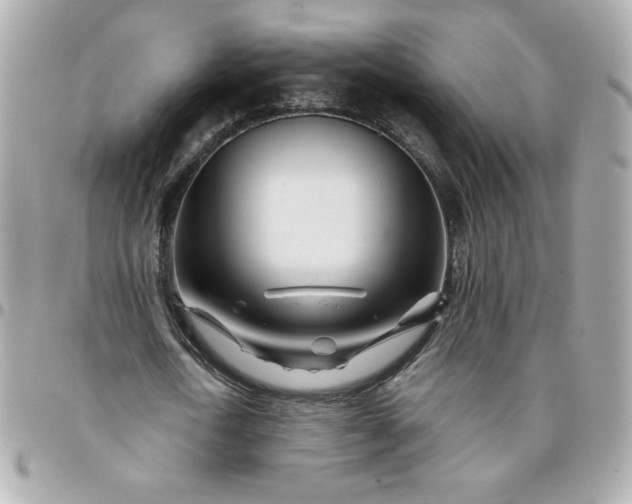 X0000096200722200802011259