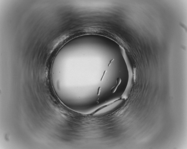 X0000096200723200802011259