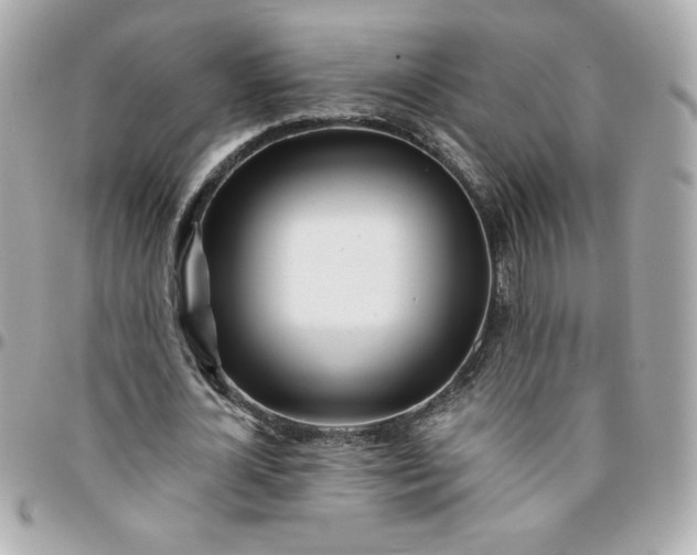 X0000096200724200802011259