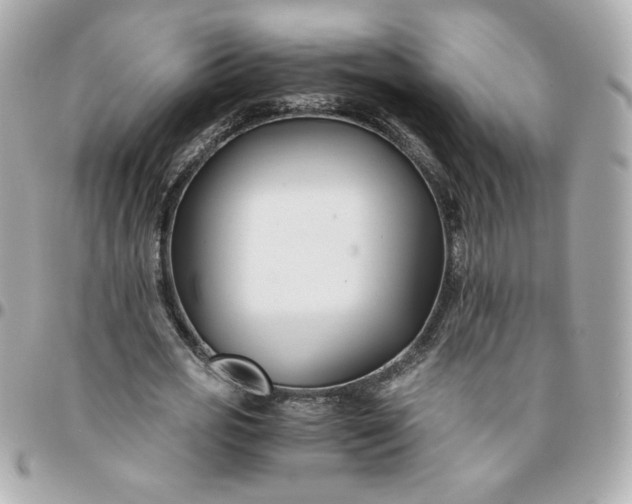 X0000096200725200802011259