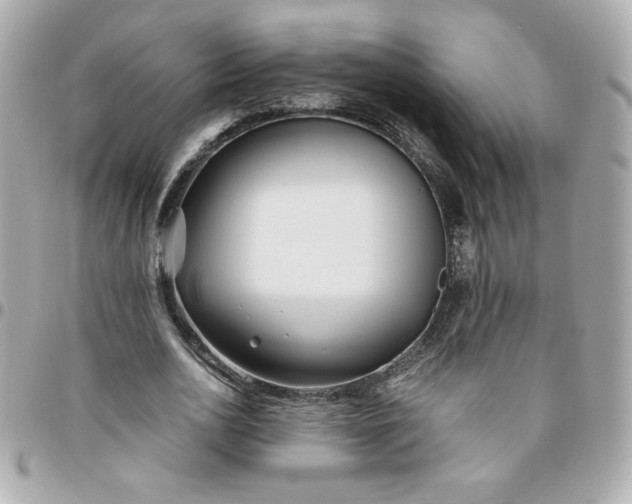 X0000096200726200802011259