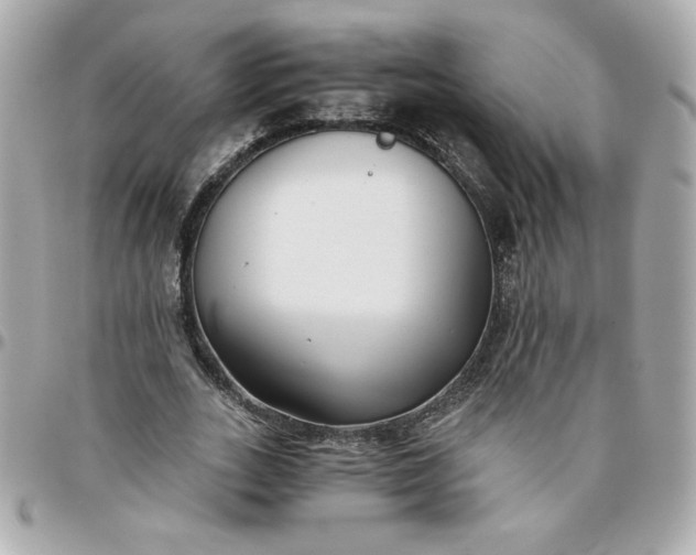 X0000096200727200802011259