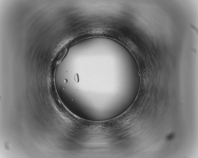 X0000096200728200802011259