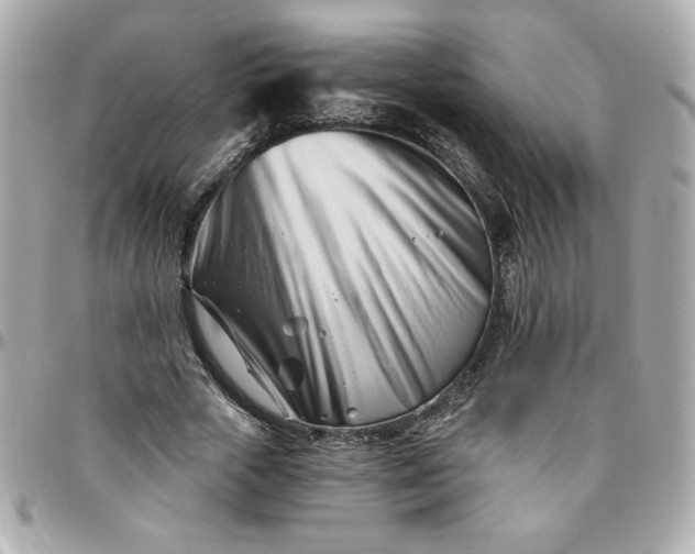 X0000096200729200802011259