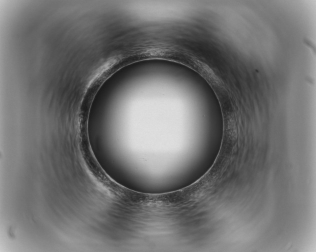 X0000096200730200802011259