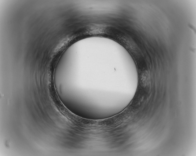 X0000096200732200802011259