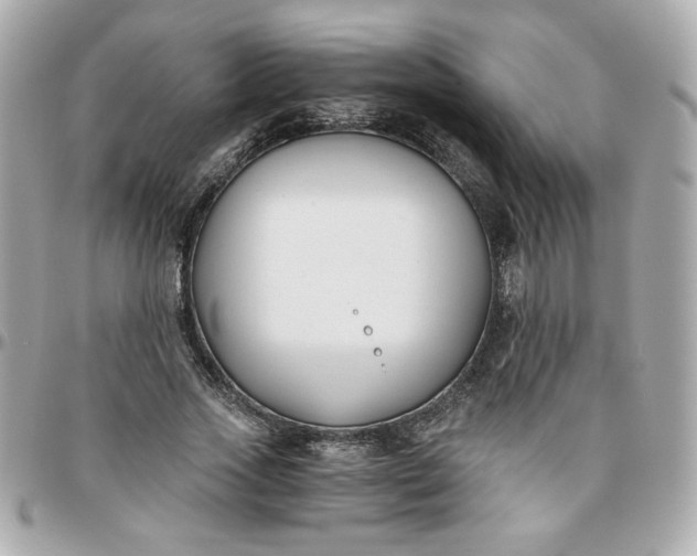 X0000096200733200802011259