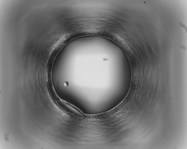 X0000096200734200802011259