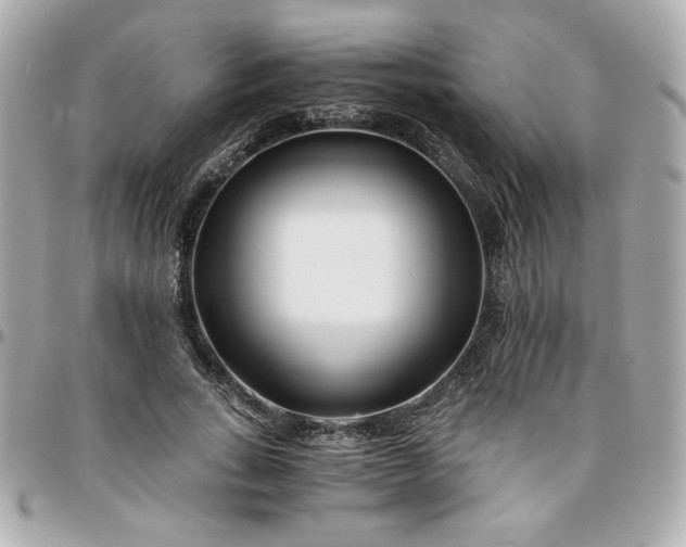 X0000096200735200802011259