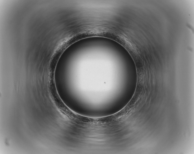 X0000096200736200802011259