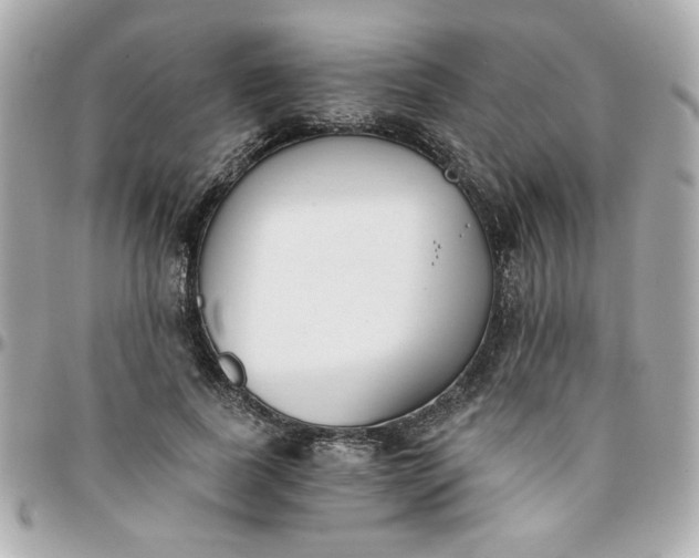 X0000096200739200802011259